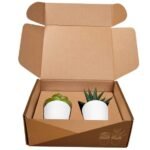 SET DE PLANTAS ALISO BLANCO - Imagen 3