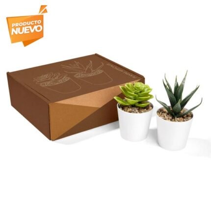 SET DE PLANTAS ALISO BLANCO