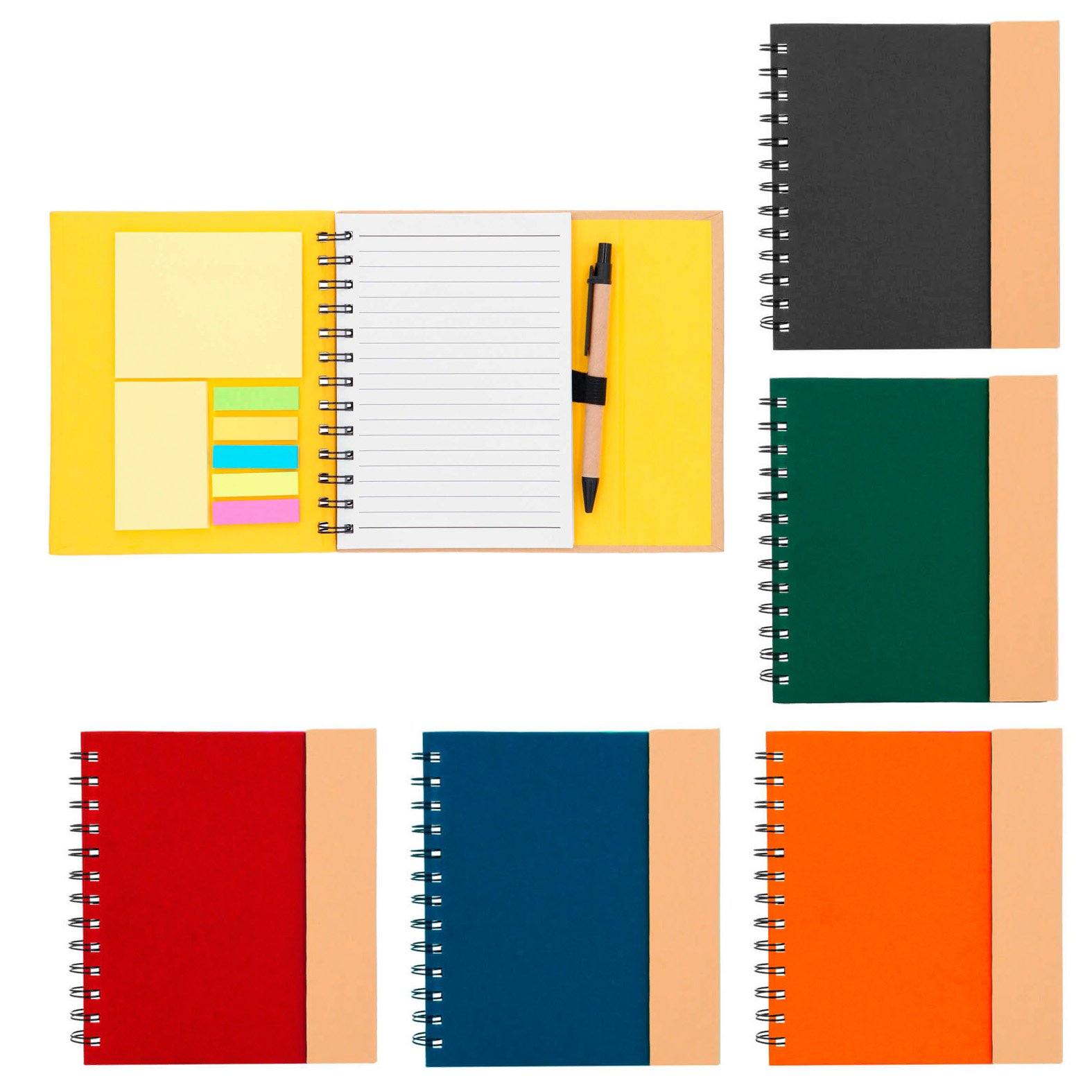 11082025175219_LE011.jpg BOWI - Imagen 1