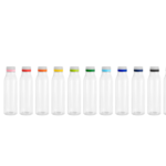 Botella "ANDINA FROST"
