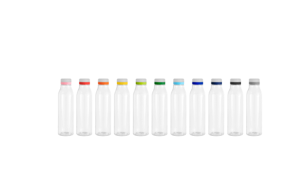 Botella "ANDINA FROST"